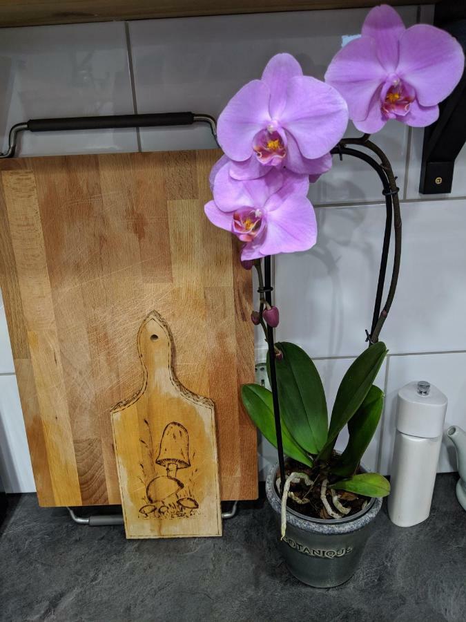 R&R Vacation House Друскининкай Екстериор снимка